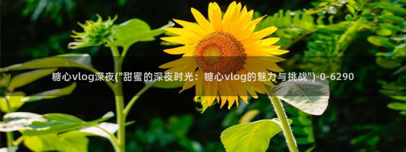 糖心w：糖心vlog深夜(\