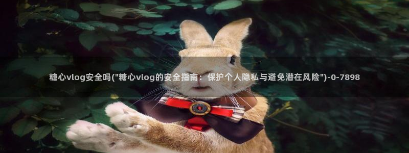 糖心vlgo丨VK