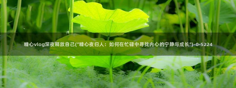 1糖心：糖心vlog深夜释放自己(\
