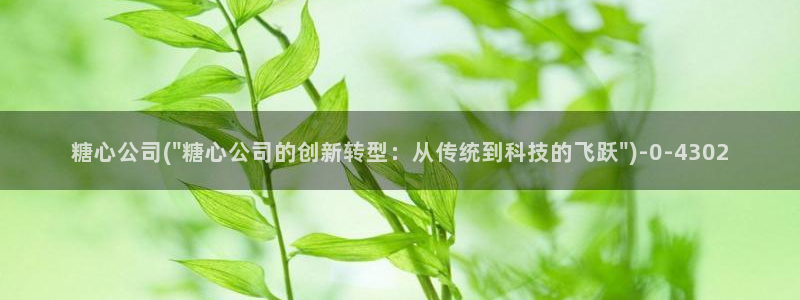 糖心m：糖心公司(\