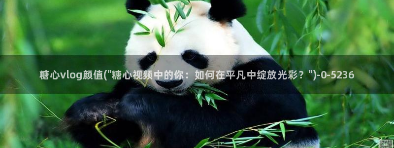 www.心糖