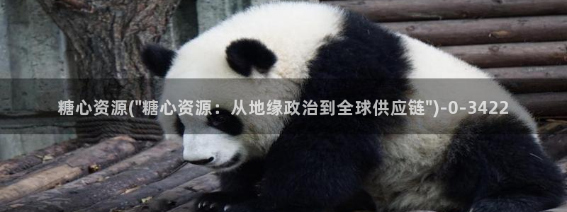 糖心 网站